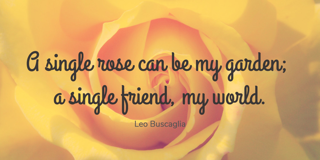 A single rose can be my garden