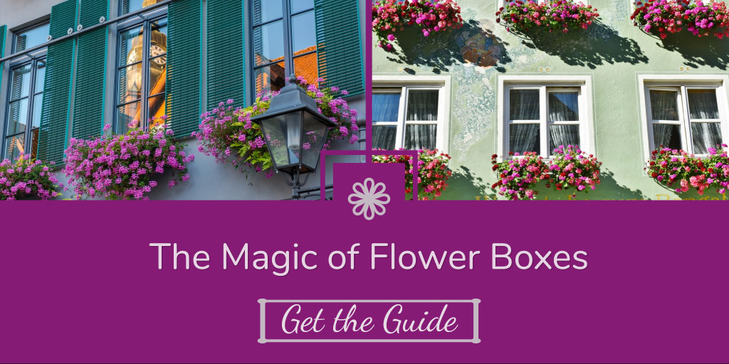 The magic of flower boxes