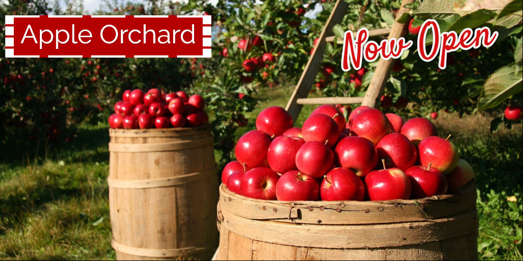 Apple Orchard - Now Open