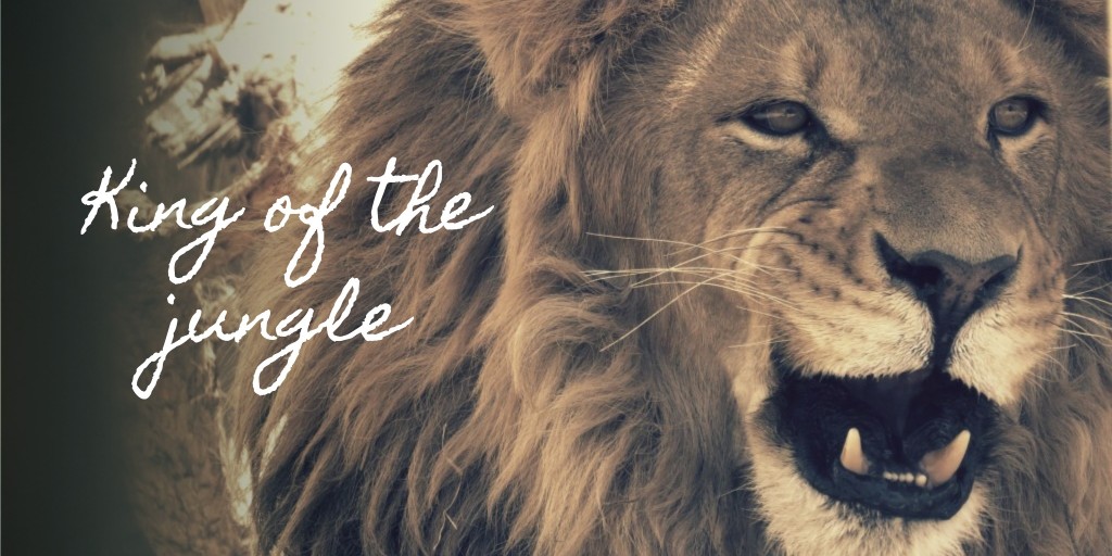 King of the jungle