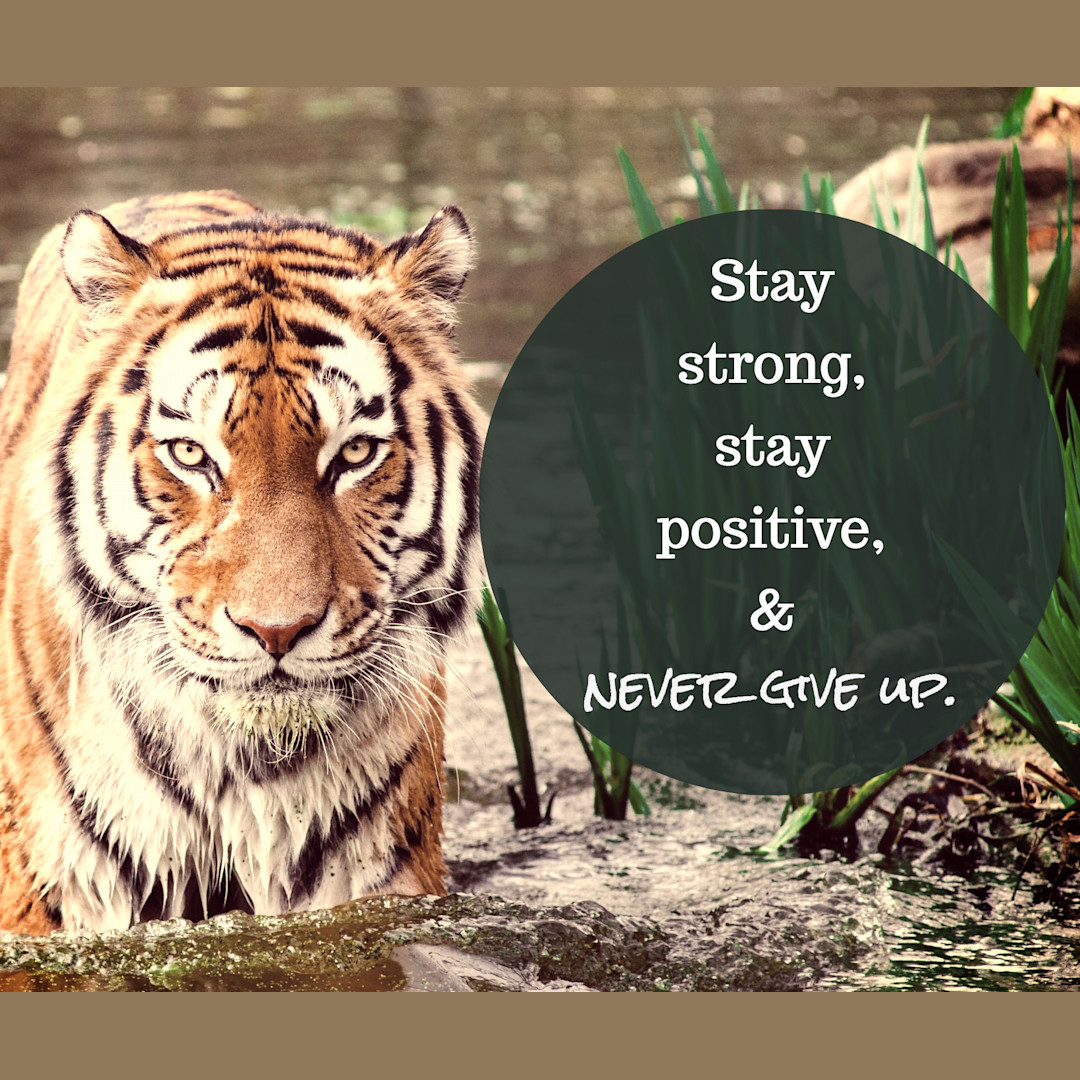 Stay strong & never give up | Templates | Stencil