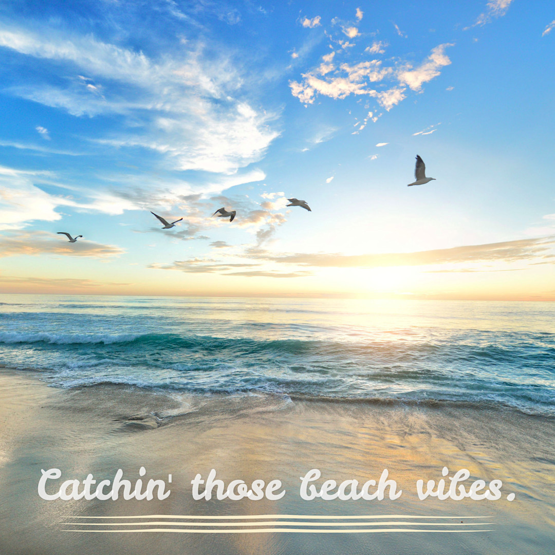 Catchin' those beach vibes | Templates | Stencil