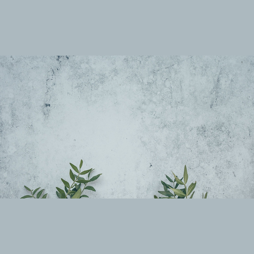 Wall Leaves - Zoom Virtual Background | Templates | Stencil