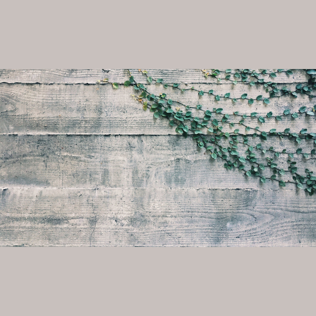 Wood Vines - Zoom Virtual Background | Templates | Stencil