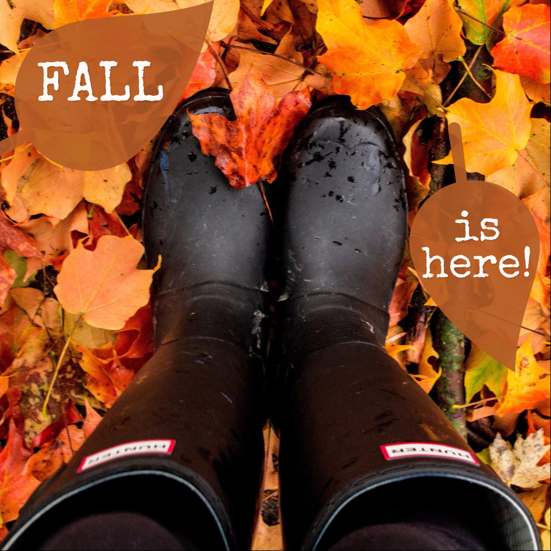 Fall season is here