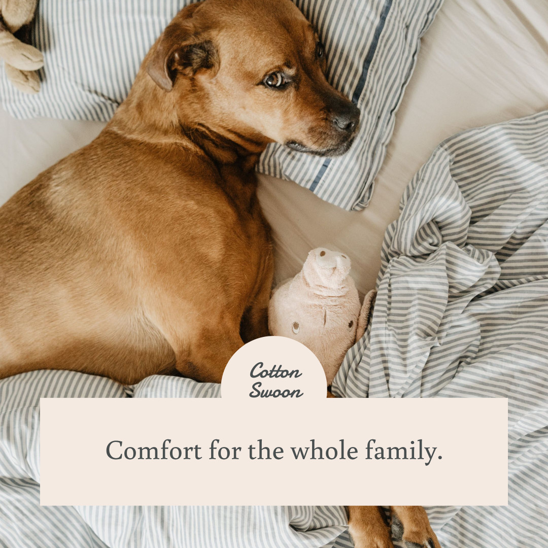 Instagram photo template for a pet bedding store