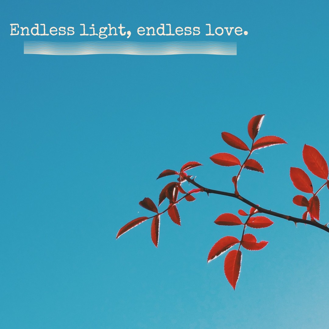 Endless light, endless love