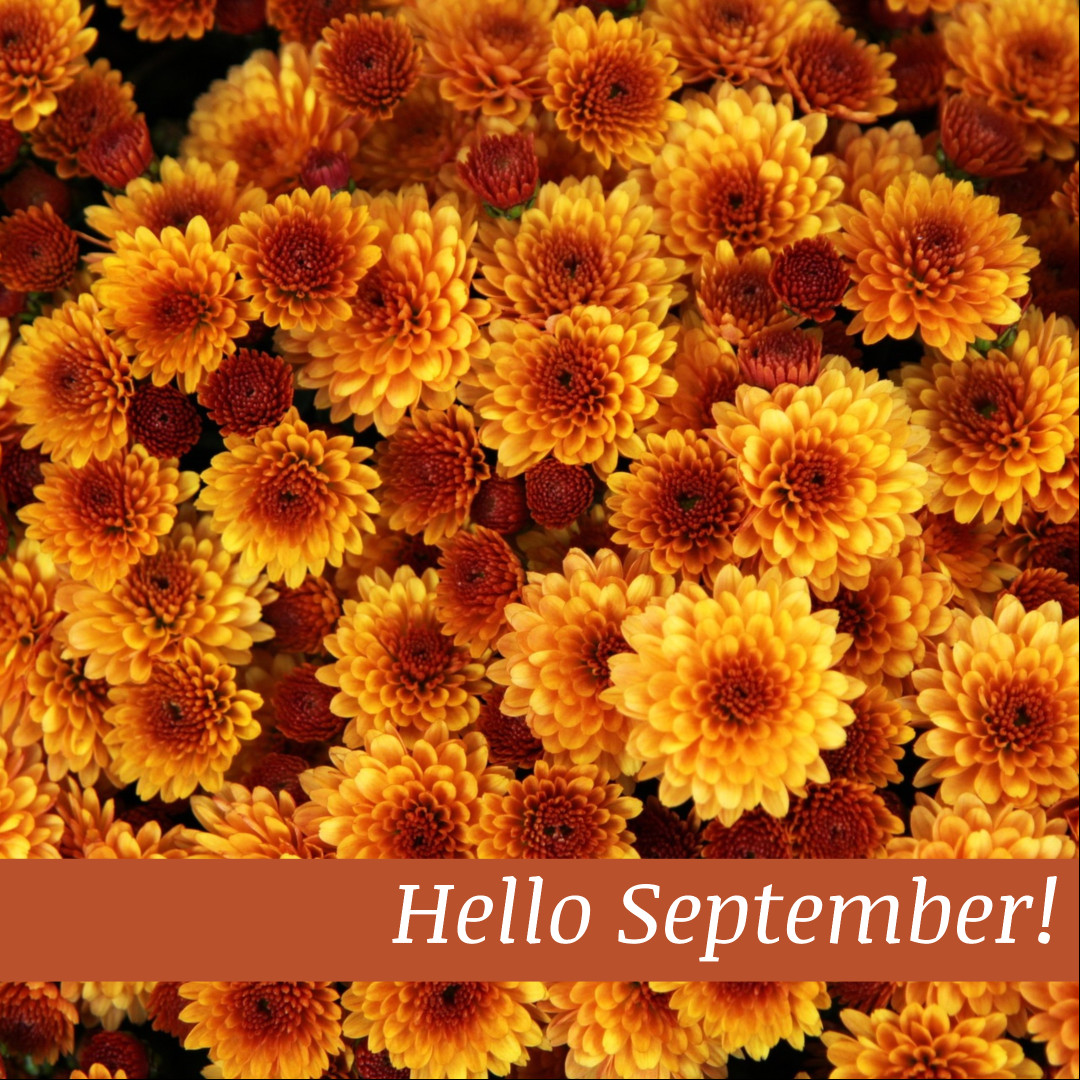Hello there September
