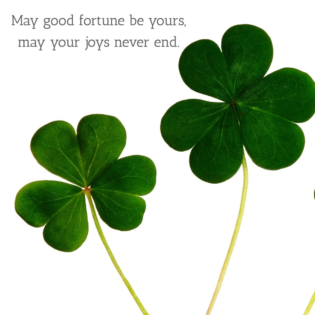 May good fortune be yours