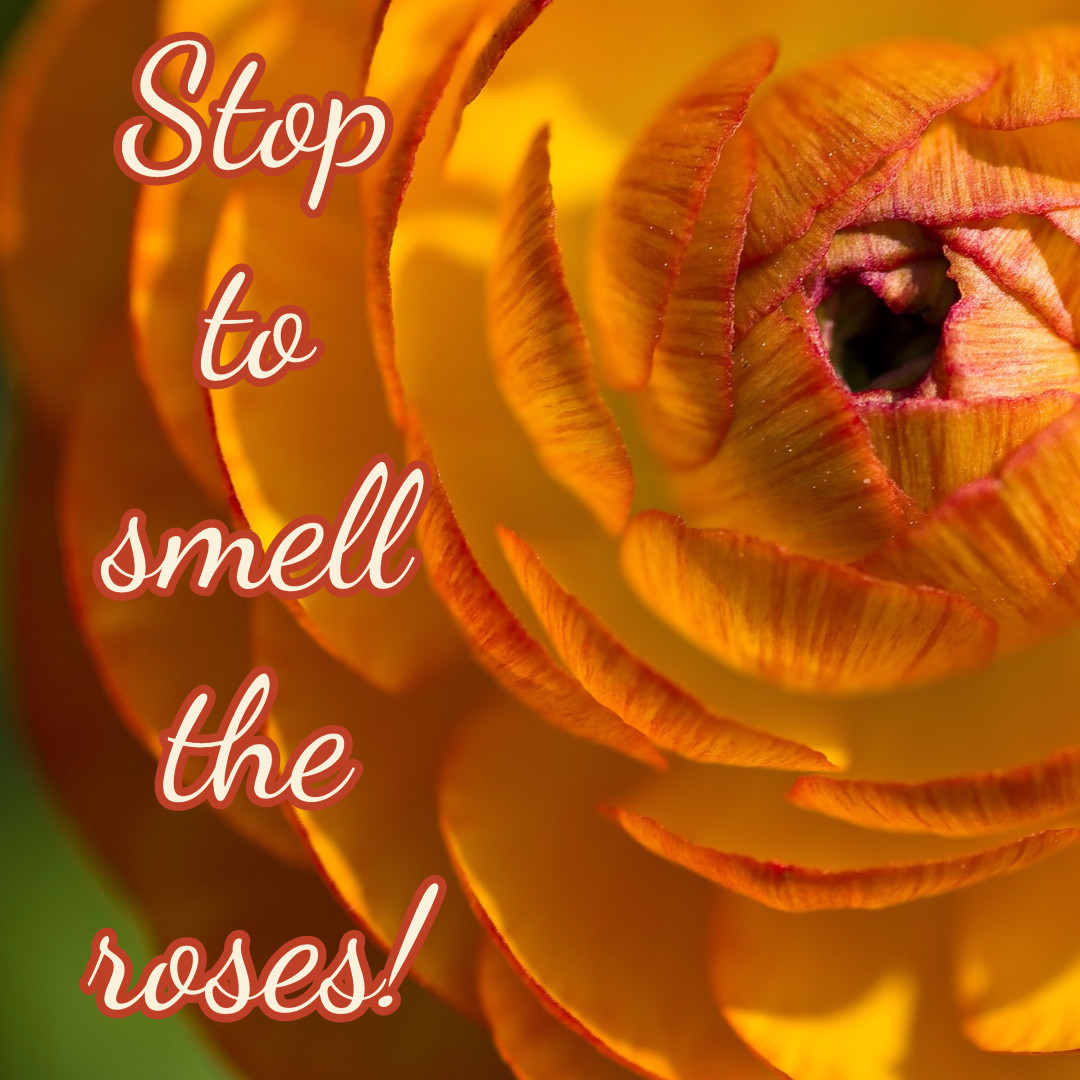 Stop to smell the roses