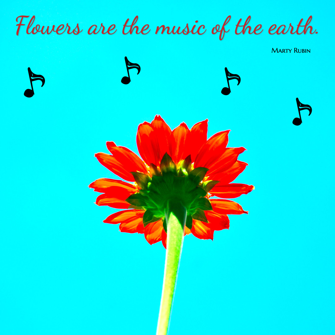 Flowers are music of the earth