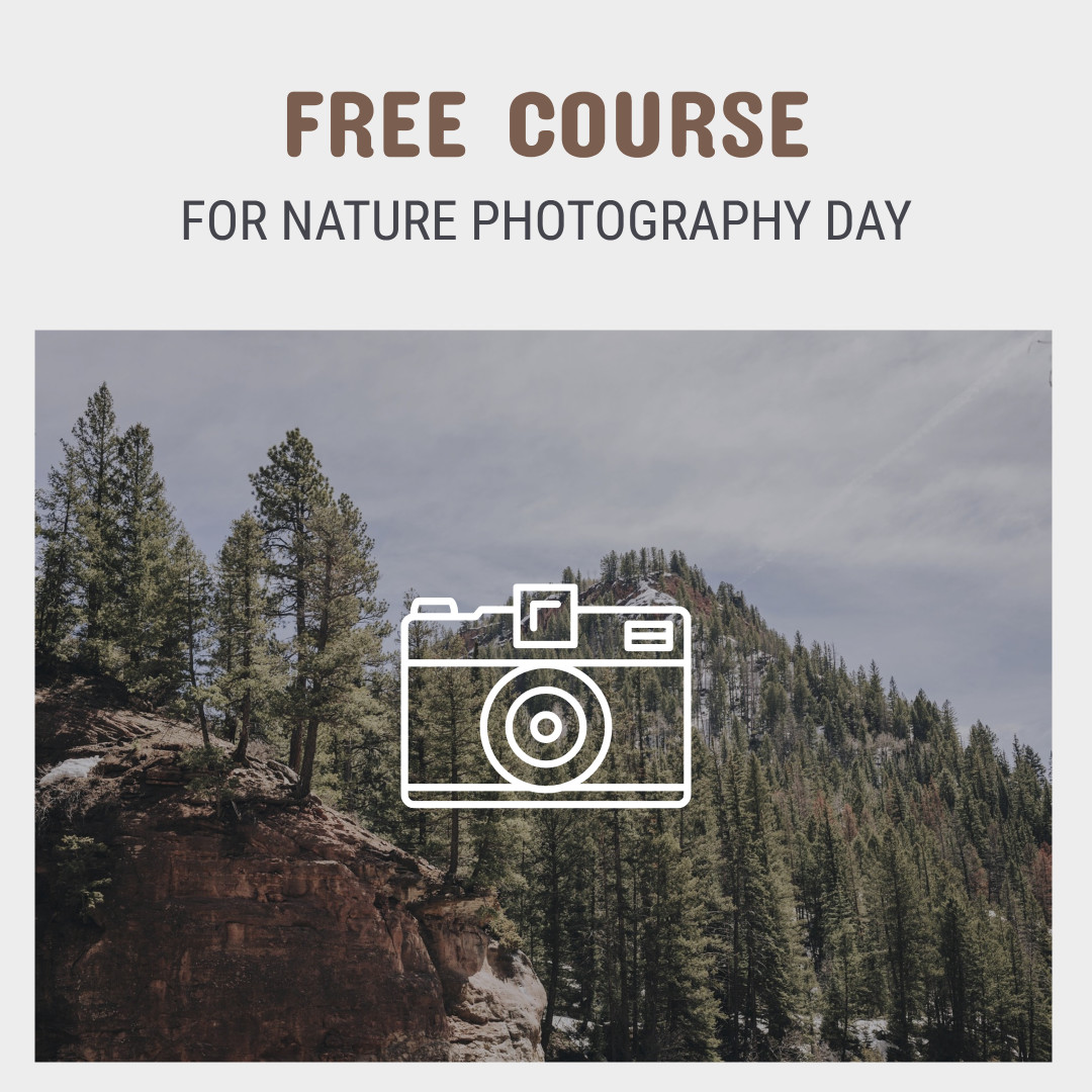 Free course for nature photography day