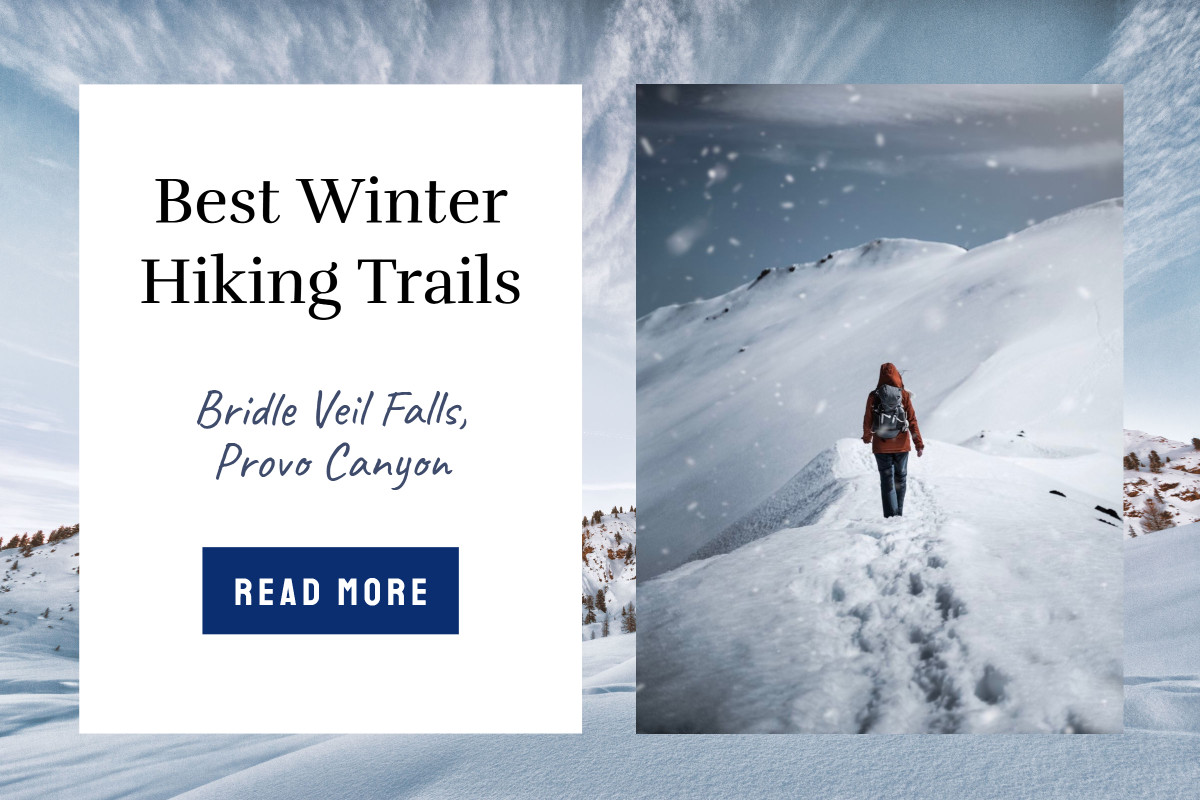 Best Winter Hiking Trails