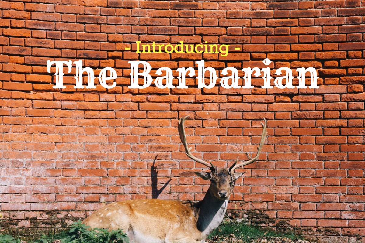 Introducing - The Barbarian