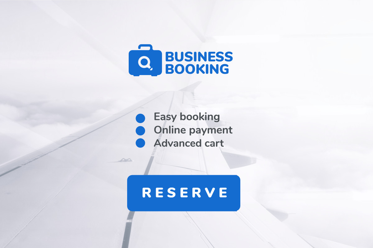 Business booking flights