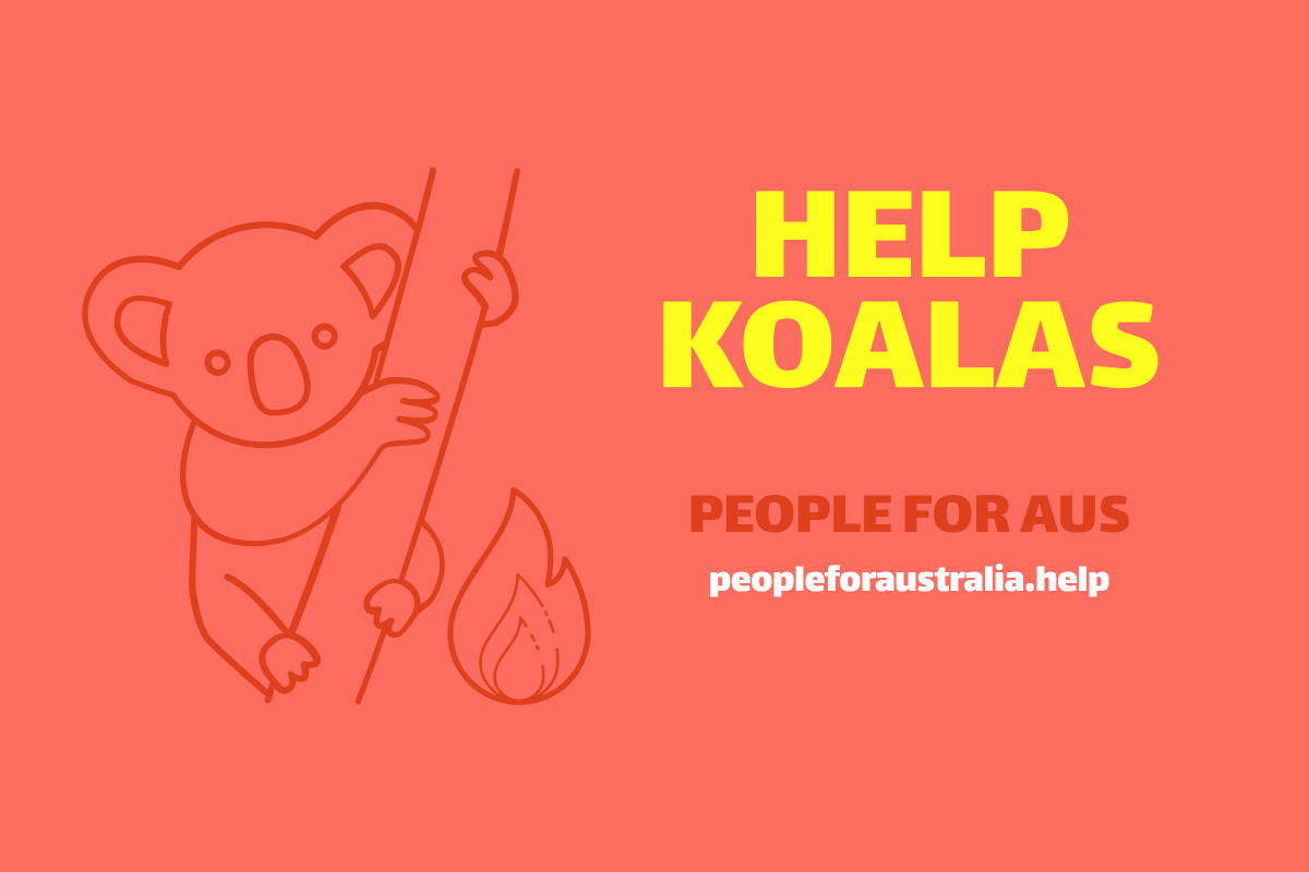 Help Koalas - People for Australia