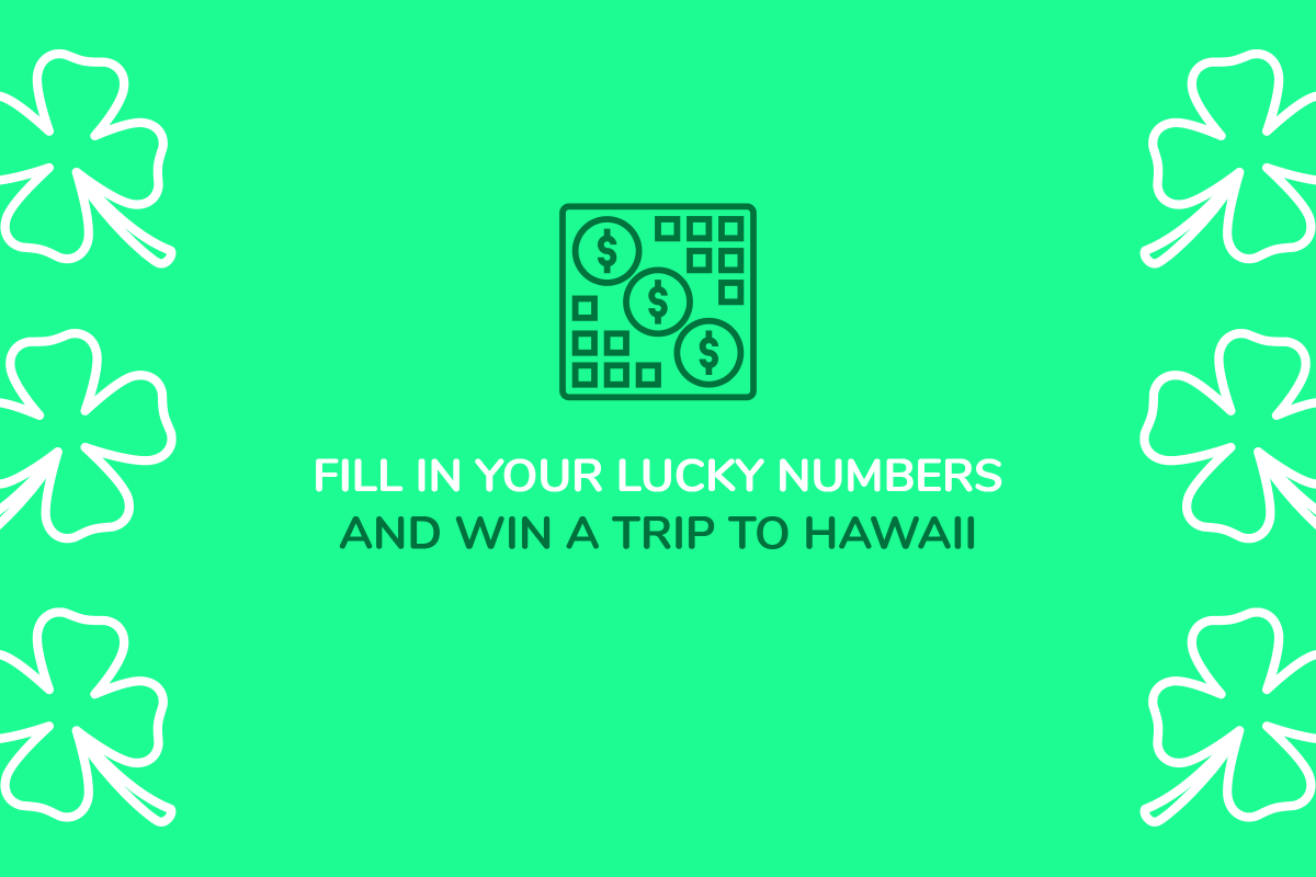 Fill in your lucky numbers