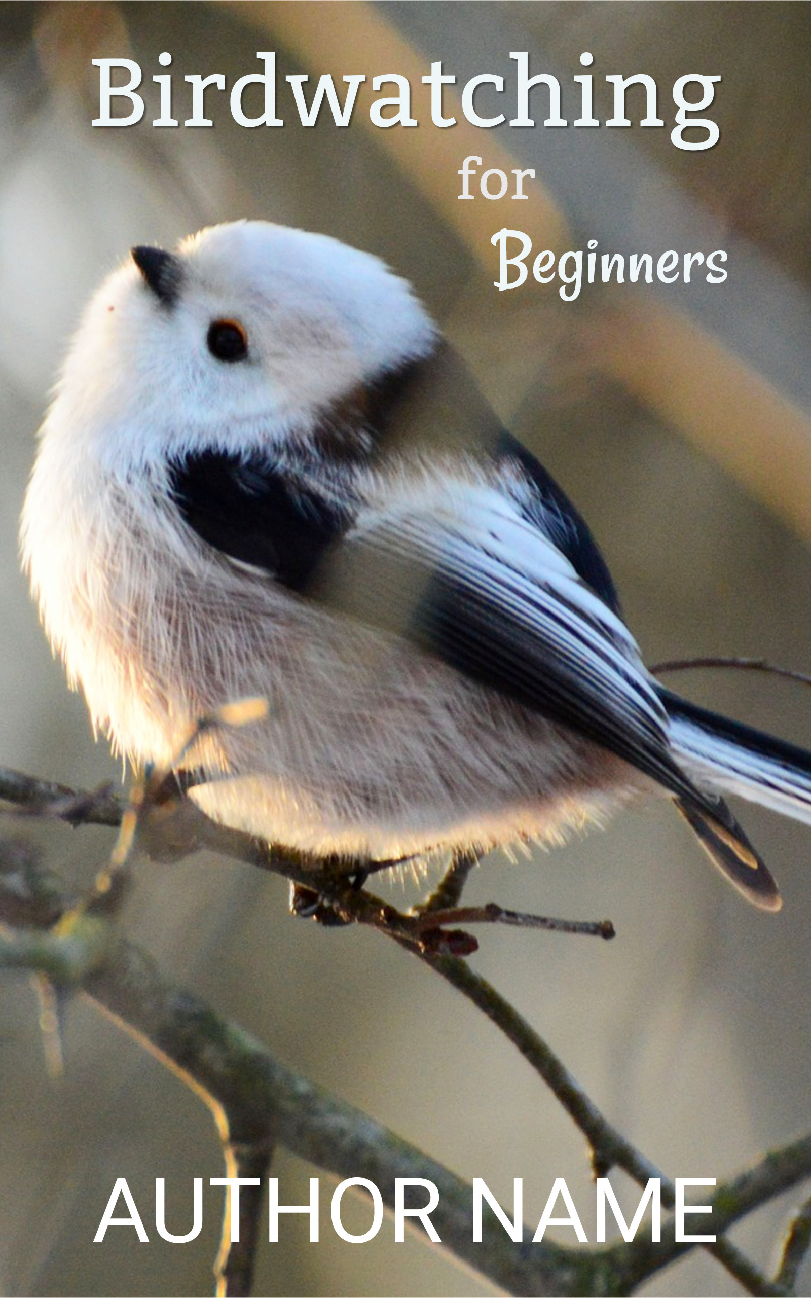 Birdwatching for Beginners