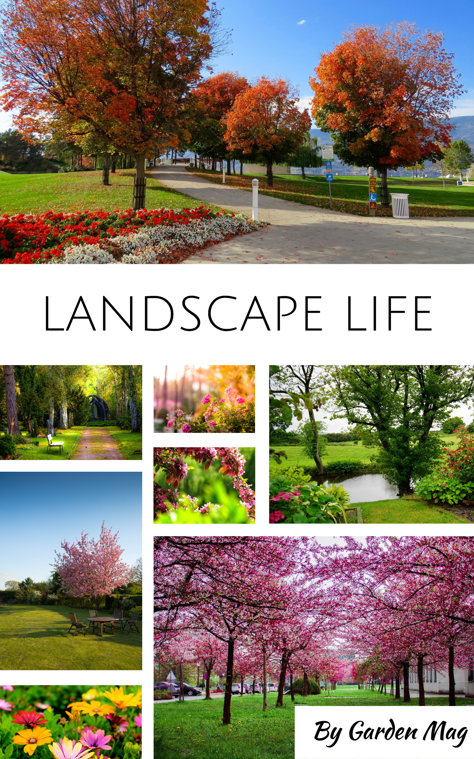 Landscape Life