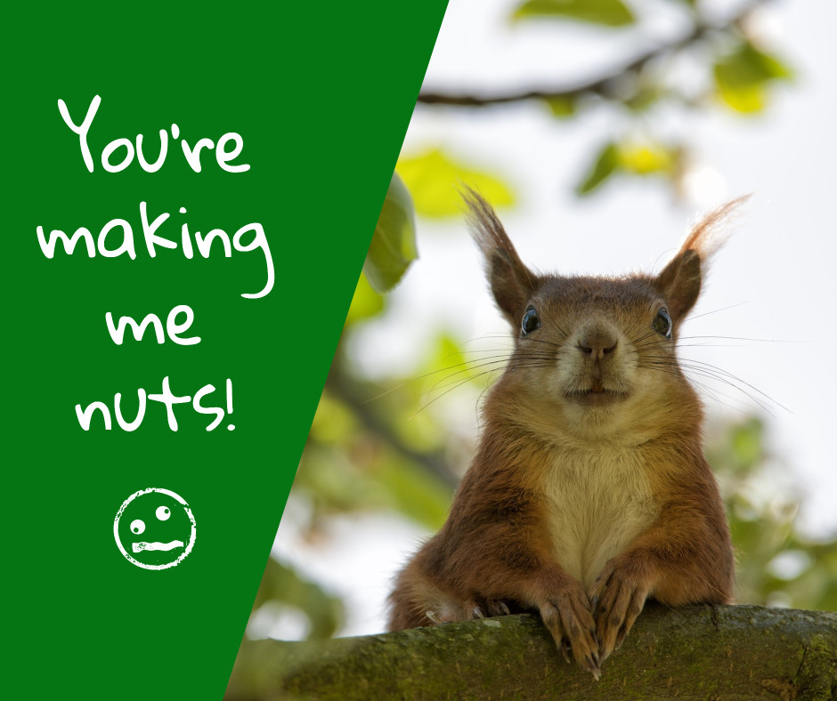 You're making me nuts