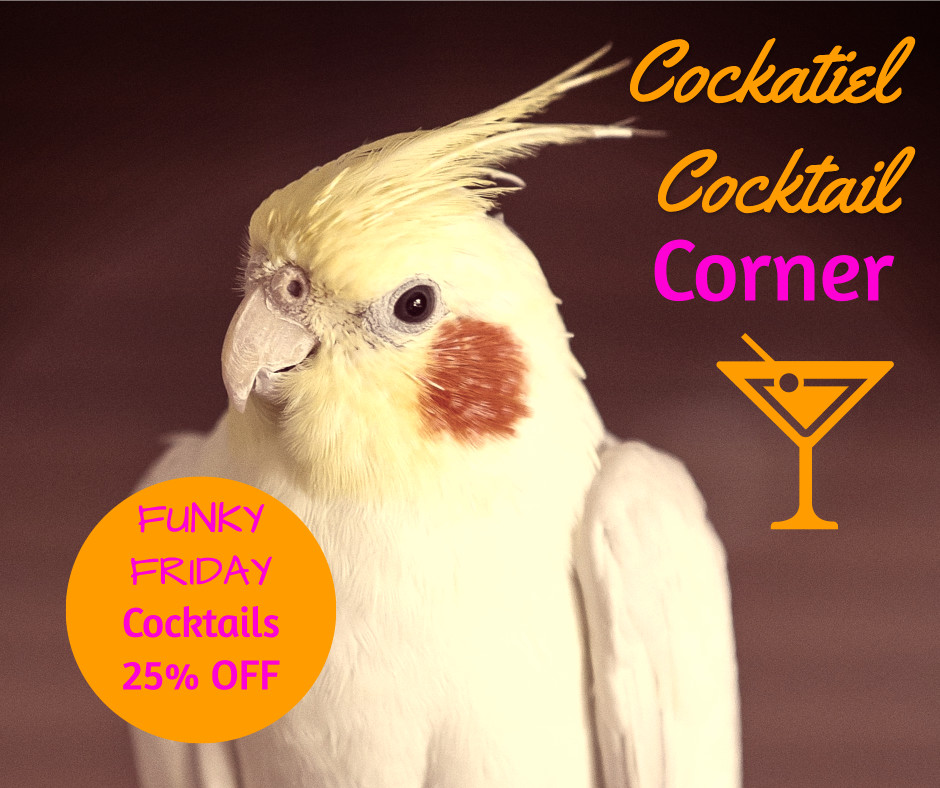 Cockatiel cocktail corner