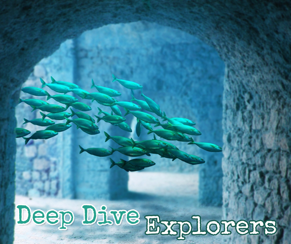 Deep dive explorers