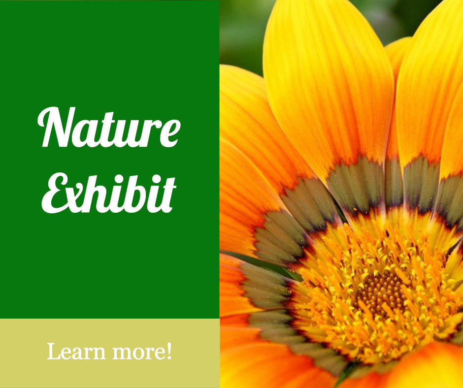 Nature exhibit - Learn more