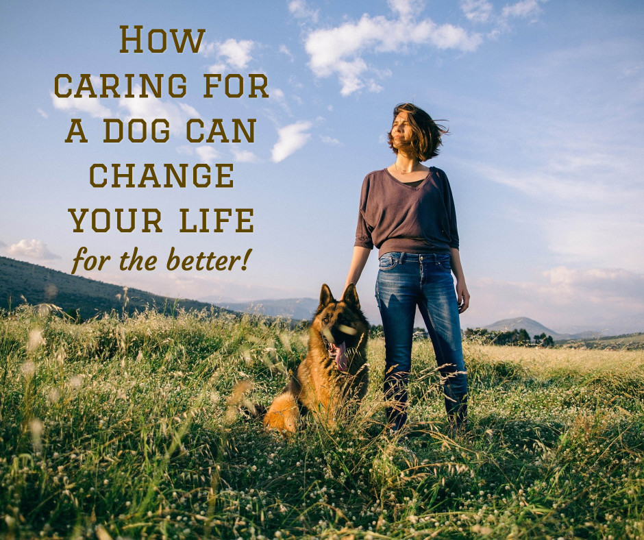 Caring for a dog can change your life