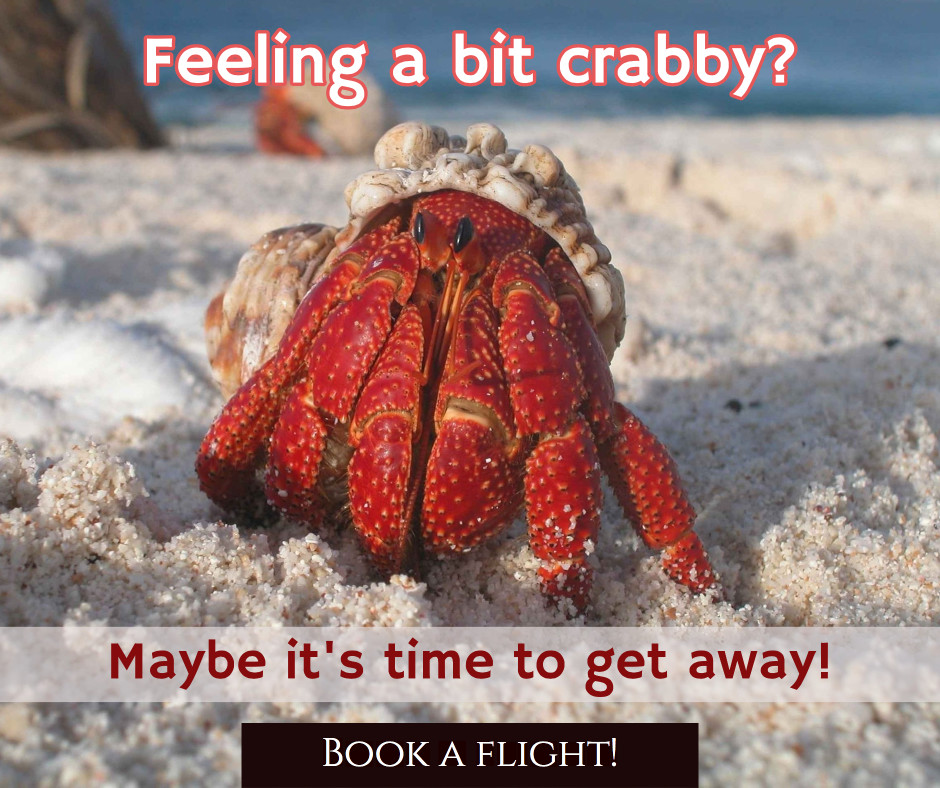 Feeling a bit crabby?