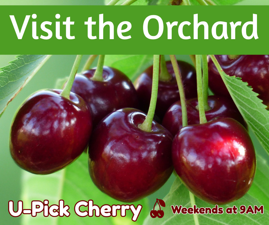 Visit the Orchard place