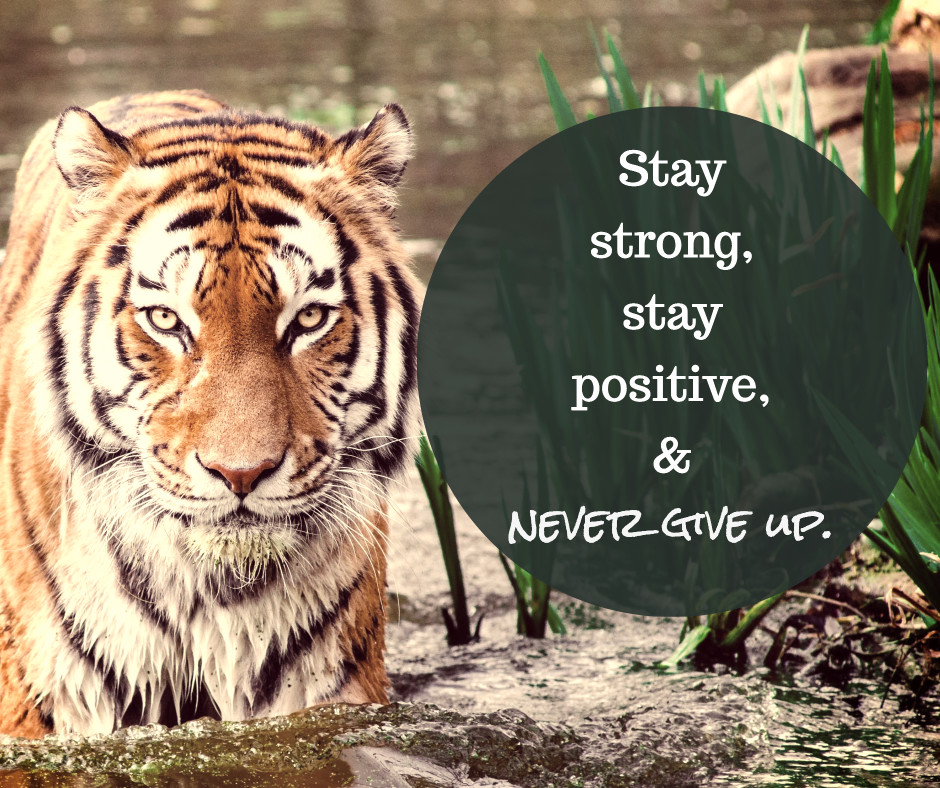 Stay strong & never give up