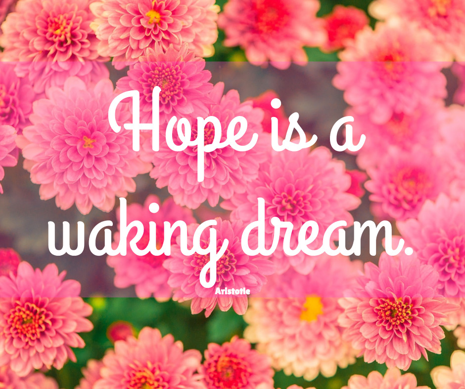 Hope is a waking dream