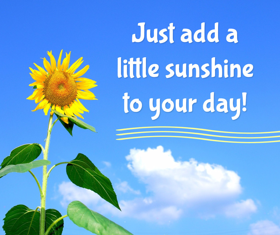 Sunshine to your day