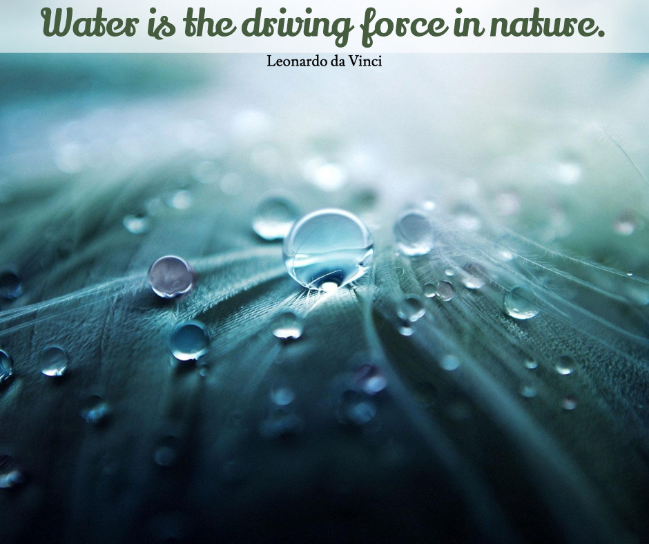 Water is the driving force in nature