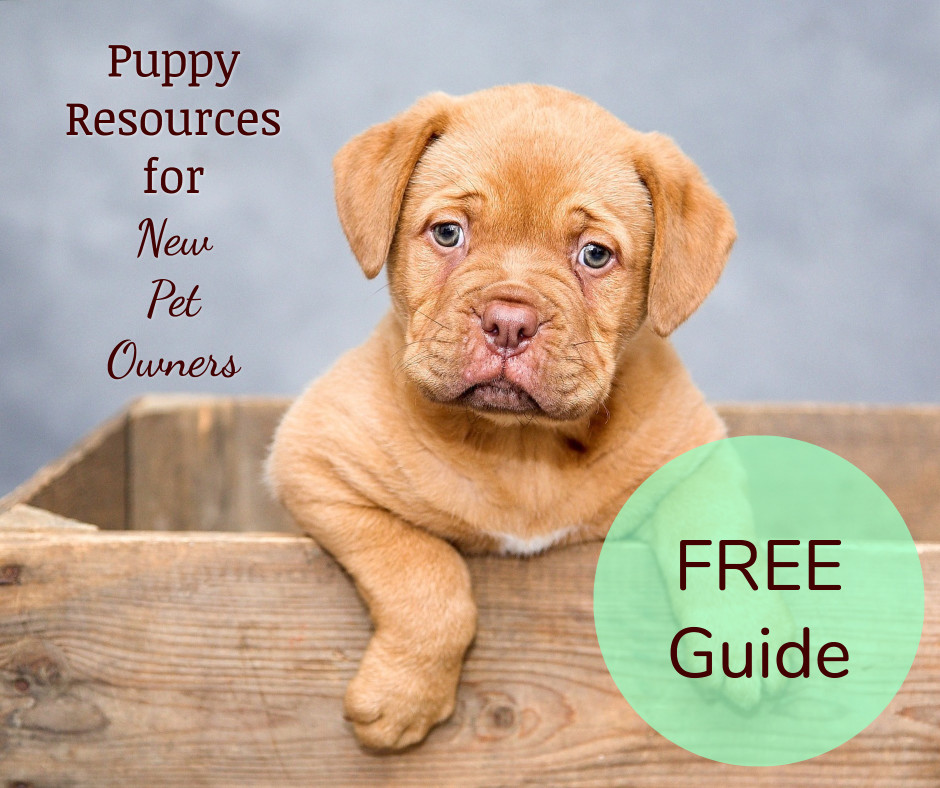 Guide for puppy resources