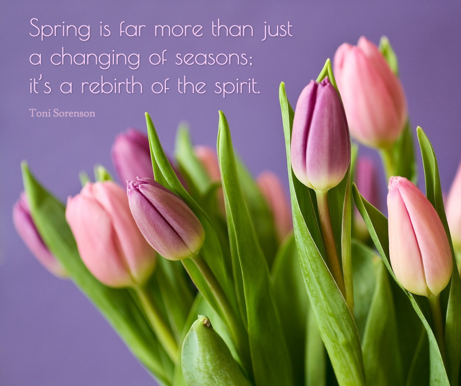 Spring is a rebirth of the spirit