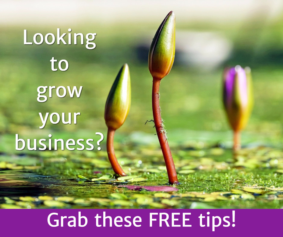 Looking to grow your business?